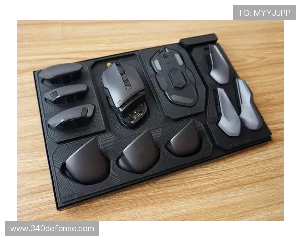 尊龙D88旗舰多功能游戏硬件，满足不同玩家的个性化定制需求