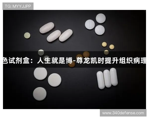 尊龙凯时人生就是博官网带你领略精彩纷呈的网络游戏世界体验